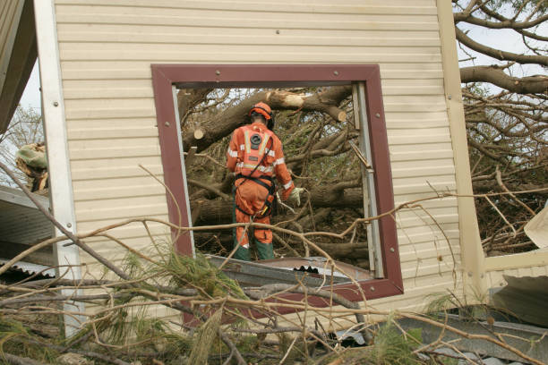 Best Commercial Tree Services  in Potomac Mills, VA