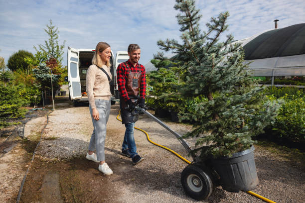 Best Tree Maintenance Programs  in Potomac Mills, VA